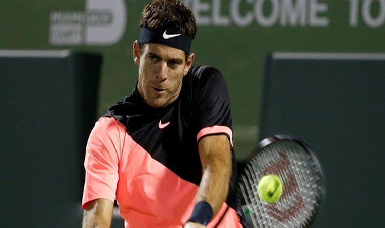 Del Potro va con Raonic en busca de la final