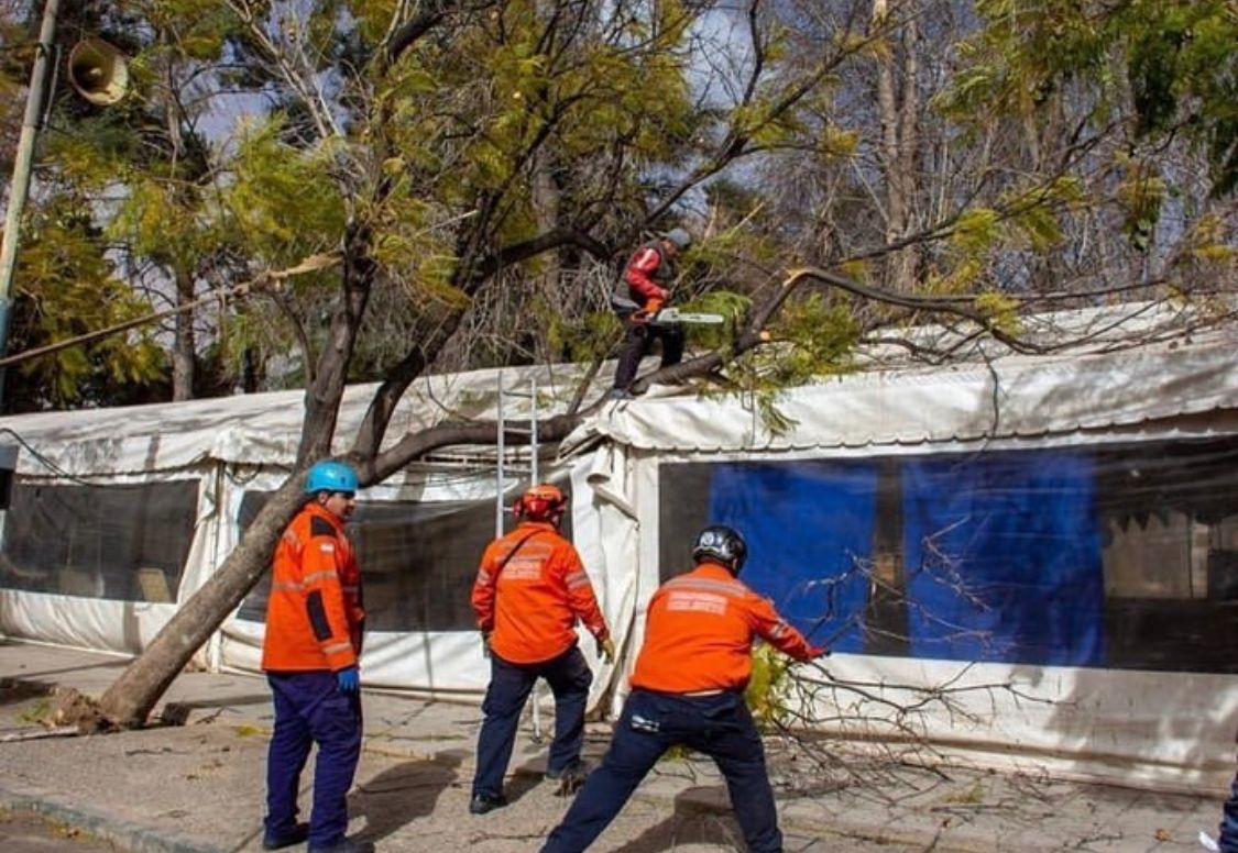 Daños materiales y destrozos por la caída de árboles en Chilecito a causa del viento zonda