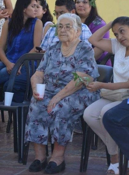 264935_1701638943.jpg