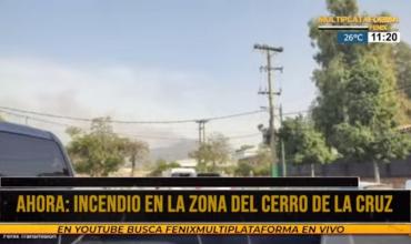 ULTIMO MOMENTO - Incendio en Cerro de la Cruz