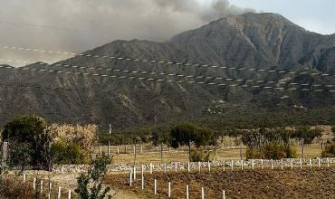 Incendio en Cerro de La Cruz: Avanzan las llamas hacia el Parque de la Ciudad