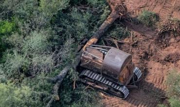 La mala nota que obtiene Argentina en un ranking sobre prácticas ecológicas