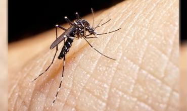 Dengue en Filipinas: 81% más de casos y 881 muertes registradas este año