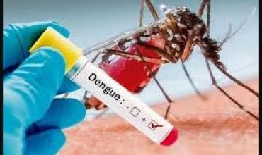 Se confirmó un nuevo caso de dengue en la zona oeste de la Capital