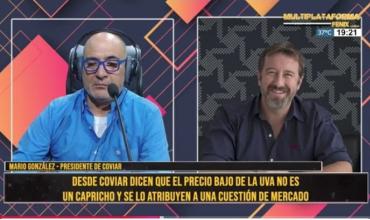 Mario González: "La caída del precio de la uva no es un capricho, es una cuestión de mercado"