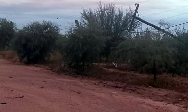 El viento derribó postes y varias zonas de la capital quedaron sin luz