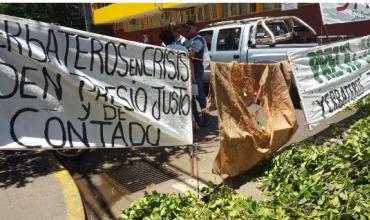 Productores queman plantas de yerba mate en Misiones para protestar por los precios