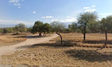 Hallazgo de restos óseos en Ruta Nacional 38