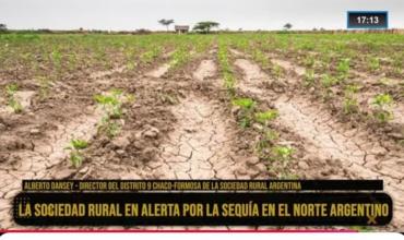  Alberto Dansey en Fénix: "La sequía en Chaco y Formosa es desastrosa, miles de productores están al límite"