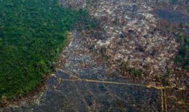 Brasil se enfrenta a una crisis hídrica sin precedentes: drástica reducción de sus reservas de agua dulce