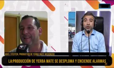 Ariel Steffen, productor yerbatero: “Hoy mal vendemos la yerba por necesidad”