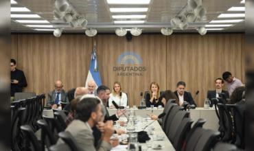 Baja de la edad de imputabilidad: tiene dictamen la modificación al Régimen Penal Juvenil