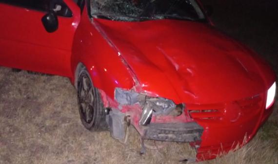 Automóvil chocó contra un caballo en Ruta 38: dos jóvenes fueron trasladados al hospital en Chamical