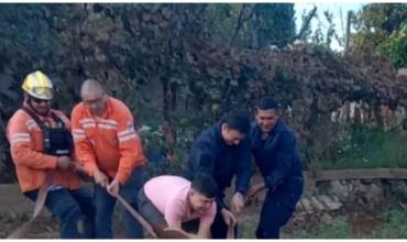 Exitosa labor de rescate: salvaron a un caballo que cayó a un pozo en Chilecito