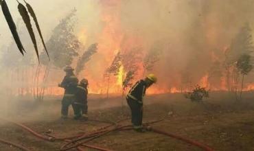Flexibilizan el uso del fuego en parques nacionales de la Patagonia tras devastadores incendios
