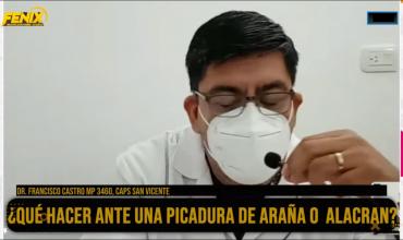 Alertan sobre picaduras de viuda negra y alacranes: recomendaciones para prevenir y actuar a tiempo