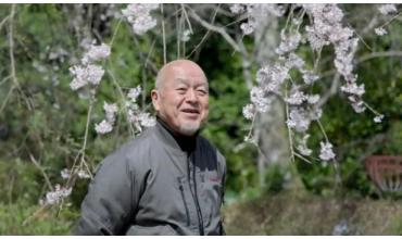 El jardinero de 97 años que se encarga de proteger los árboles más hermosos y emblemáticos de Japón