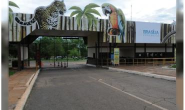 Brasilia cierra el zoológico y despliega una barrera sanitaria preventiva ante la gripe aviar