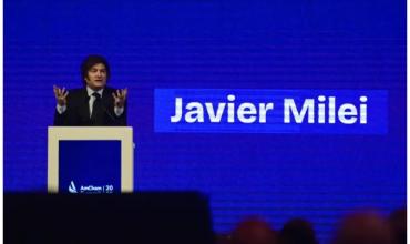 Javier Milei volvió a cargar contra el aborto por "destrozar la natalidad": qué dicen los datos