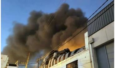 Federico Sturzenegger atacó a las mafias que viven del PAMI tras un incendio en una pañalera: "¿Casualidad o causalidad?"