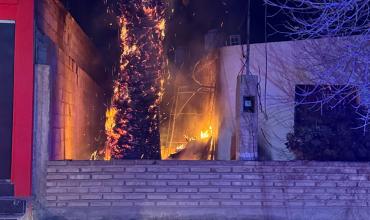Incendio de una palmera generó alarma en barrio La Usina