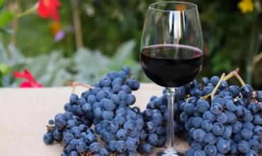 El mejor Malbec del mundo es argentino (otra vez): cuál es y cuánto cuesta