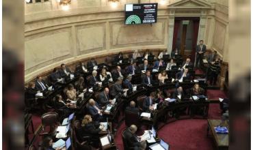 Dietas: uno por uno, los 35 senadores que renunciaron al último aumento