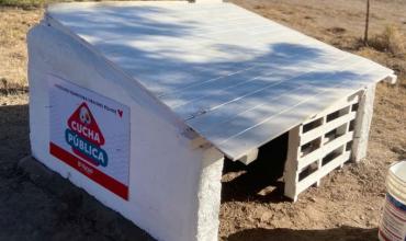 La Municipalidad finalizó un refugio para perros callejeros en el barrio Carlos Onetto