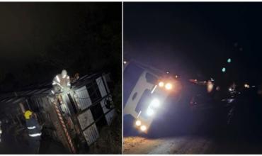 Un camión jaula cargado de vacas volcó en Córdoba: pobladores faenaron varios animales