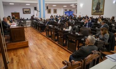 Diputados repudió veto presidencial a emergencia en discapacidad y jubilados