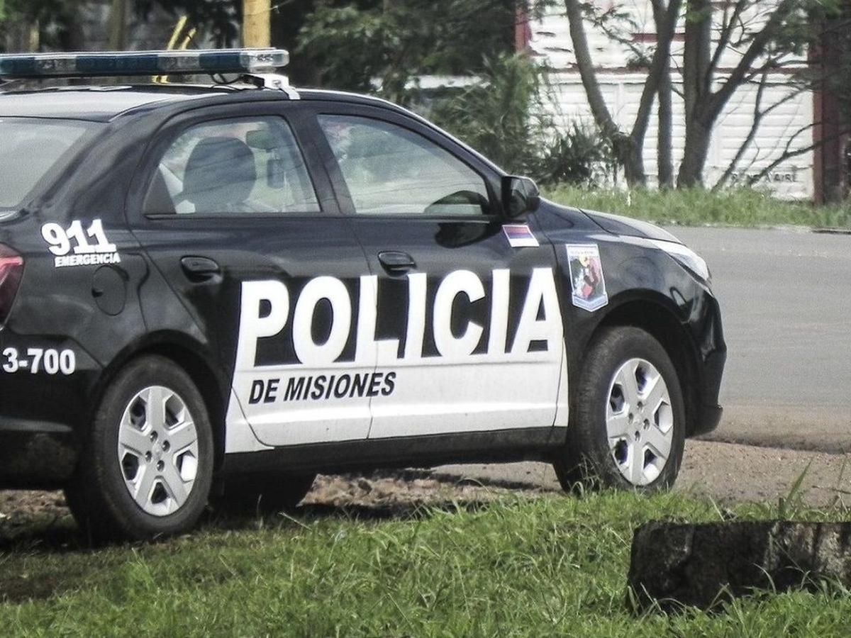 313267_1754939164.jpg