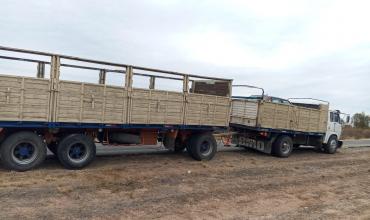 Secuestran en Chepes un auto con pedido de captura que era transportado en un camión