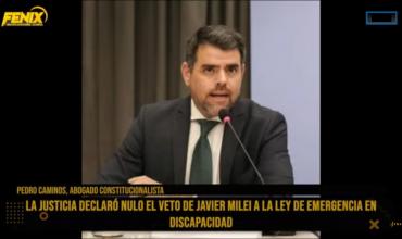 Pedro Caminos en Fénix: “La decisión de la justicia sobre el veto presidencial todavía está abierta en el plano judicial”