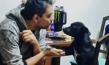 Alerta en Las Cañitas por envenenamiento de mascotas: testimonios revelan síntomas graves