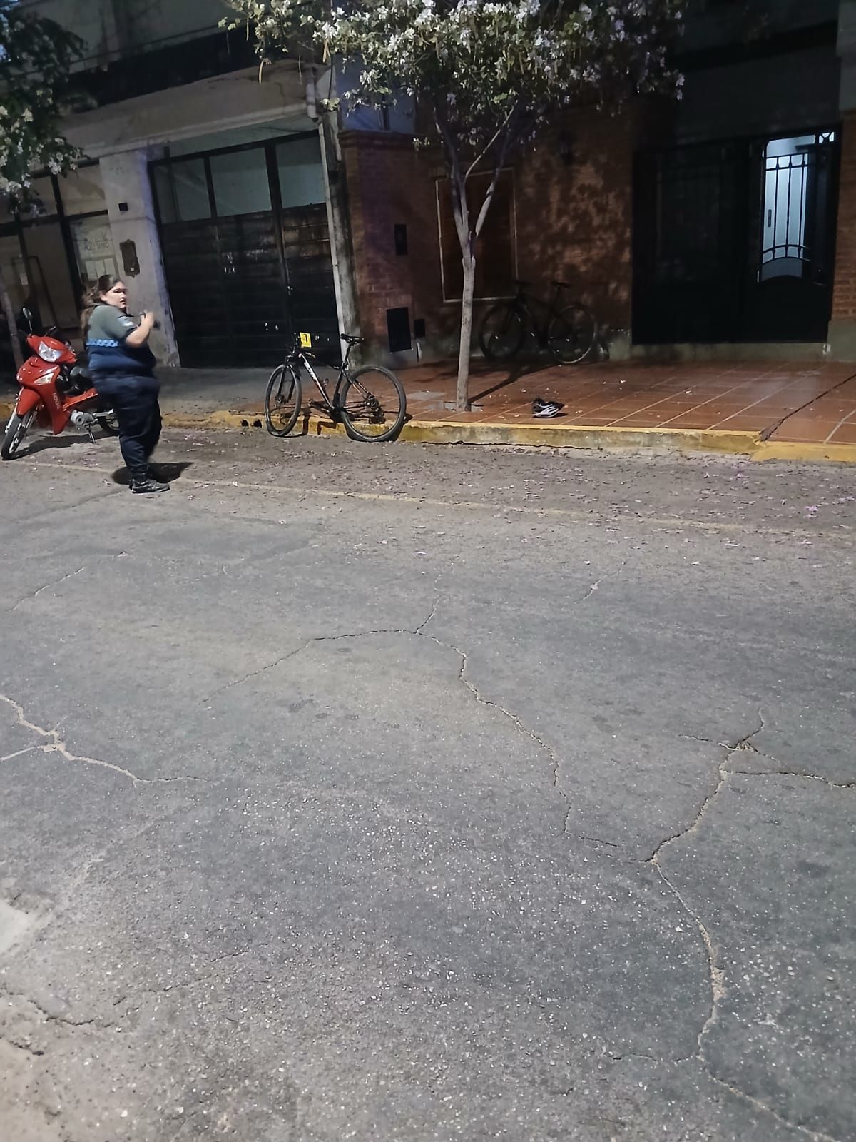 317604_1759288320.jpg