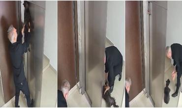 Con RCP salvó a un perro que había quedado colgado en un ascensor y hará una canción para que otros aprendan