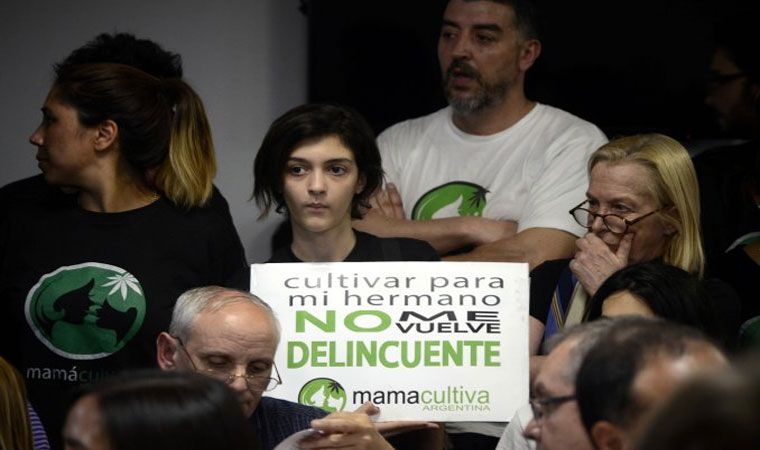 El Gobierno promulgó la ley de cannabis medicinal