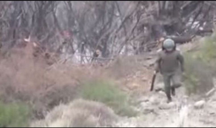 Declararon cuatro gendarmes que participaron del operativo Declararon cuatro gendarmes que participaron del operativo