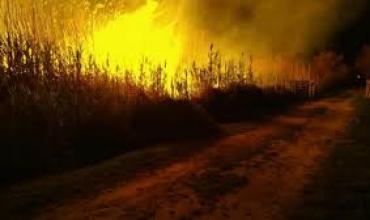 La municipalidad inició una campaña de prevención de incendios forestales