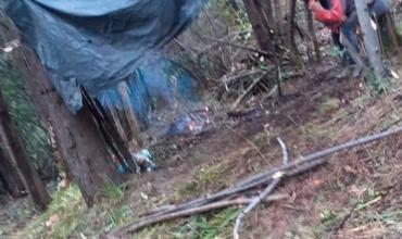 Tensión en el Sur: Ordenan desalojo de la toma de la Reserva Forestal en El Bolsón