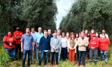 El gobierno consideró exitoso el fin de cosecha de aceitunas en la provincia