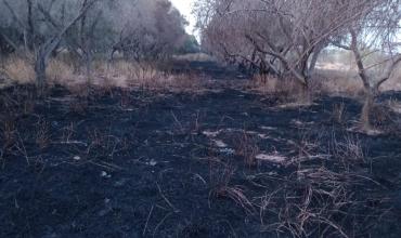 Incendio de gran magnitud en finca "La Rosa"