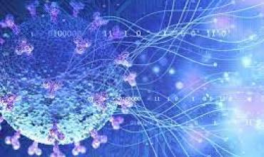 Alarma mundial: Se creó el primer mapa global que revela en dónde podría empezar la próxima pandemia