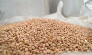 <br />
<b>Notice</b>:  Undefined index: url in <b>/var/www/fenix951/public/categoria.php</b> on line <b>97</b><br />
