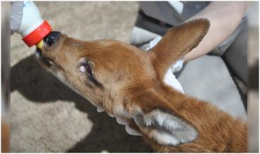 <br />
<b>Notice</b>:  Undefined index: url in <b>/var/www/fenix951/public/categoria.php</b> on line <b>97</b><br />
