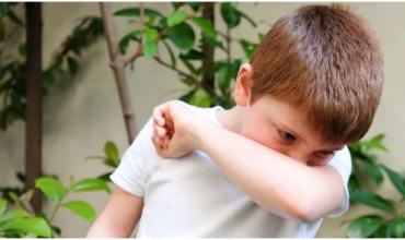 <br />
<b>Notice</b>:  Undefined index: url in <b>/var/www/fenix951/public/categoria.php</b> on line <b>97</b><br />
