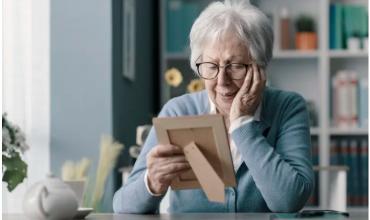 <br />
<b>Notice</b>:  Undefined index: url in <b>/var/www/fenix951/public/categoria.php</b> on line <b>97</b><br />
