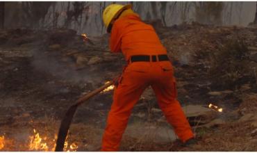 Se originaron tres focos de incendio en el Parque Lanín