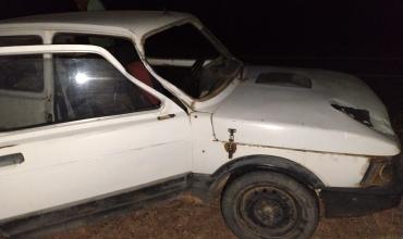 Accidente en la ruta: un auto chocó contra una vaca cerca de El Portezuelo