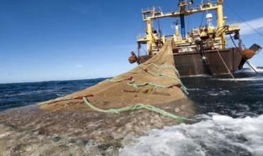 Ante el debate por el Presupuesto 2026, la industria pesquera solicita la eliminación total de retenciones